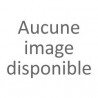 Convoyeurs à bande